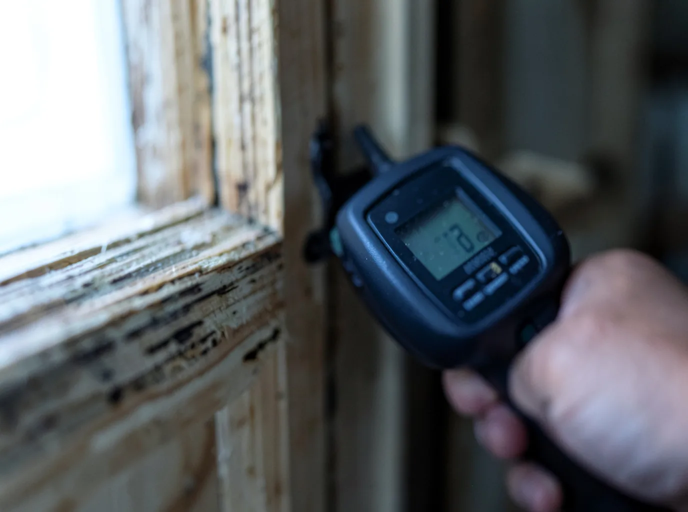 Moisture Inspection And Documentation in Suquamish, WA